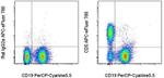 CD5 Monoclonal Antibody (53-7.3), APC-eFluor™ 780, eBioscience™