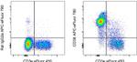 CD38 Monoclonal Antibody (90), APC-eFluor™ 780, eBioscience™