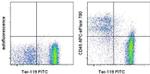 CD45 Antibody in Flow Cytometry (Flow)
