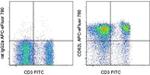 CD62L (L-Selectin) Monoclonal Antibody (MEL-14), APC-eFluor™ 780, eBioscience™