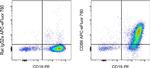 CD86 (B7-2) Monoclonal Antibody (GL1), APC-eFluor™ 780, eBioscience™