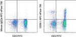 CD90.1 (Thy-1.1) Monoclonal Antibody (HIS51), APC-eFluor™ 780, eBioscience™