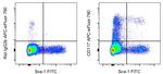 CD117 (c-Kit) Monoclonal Antibody (ACK2), APC-eFluor™ 780, eBioscience™