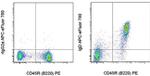 Mouse IgD Monoclonal Antibody (11-26c (11-26)), APC-eFluor™ 780, eBioscience™