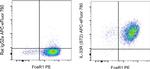 IL-33R (ST2) Monoclonal Antibody (RMST2-2), APC-eFluor™ 780, eBioscience™
