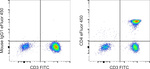 CD4 Monoclonal Antibody (RPA-T4), eFluor™ 450, eBioscience™