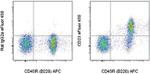 CD23 Monoclonal Antibody (B3B4), eFluor™ 450, eBioscience™