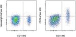CD23 Antibody in Flow Cytometry (Flow)