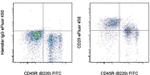 CD29 (Integrin beta 1) Monoclonal Antibody (eBioHMb1-1 (HMb1-1)), eFluor™ 450, eBioscience™