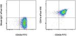 CD41a Monoclonal Antibody (HIP8), eFluor™ 450, eBioscience™