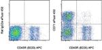 CD71 (Transferrin Receptor) Monoclonal Antibody (R17217 (RI7 217.1.4)), eFluor™ 450, eBioscience™