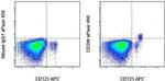CD304 (Neuropilin-1) Monoclonal Antibody (TNKUSOHA), eFluor™ 450, eBioscience™