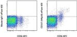 CD337 (NKp30) Monoclonal Antibody (AF29-4D12), eFluor™ 450, eBioscience™