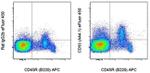 CD93 (AA4.1) Monoclonal Antibody (AA4.1), eFluor™ 450, eBioscience™