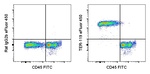 TER-119 Monoclonal Antibody (TER-119), eFluor™ 450, eBioscience™