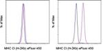 MHC Class I (H-2Kb) Monoclonal Antibody (AF6-88.5.5.3), eFluor™ 450, eBioscience™