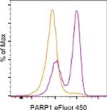 PARP1 (cleaved Asp214) Monoclonal Antibody (HLNC4), eFluor™ 450, eBioscience™