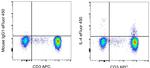 IL-4 Monoclonal Antibody (8D4-8), eFluor™ 450, eBioscience™
