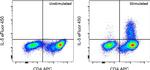 IL-5 Monoclonal Antibody (TRFK5), eFluor™ 450, eBioscience™