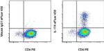 IL-17A Monoclonal Antibody (eBio64DEC17), eFluor™ 450, eBioscience™