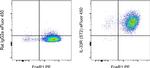 IL-33R (ST2) Monoclonal Antibody (RMST2-2), eFluor™ 450, eBioscience™