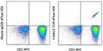 TCR V beta 8 Monoclonal Antibody (JR-2), eFluor™ 450, eBioscience™
