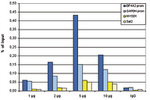 HDAC1 Antibody in ChIP Assay (ChIP)