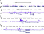 HDAC1 Antibody in ChIP-Sequencing (ChIP-seq)