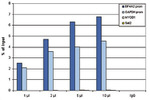 RNA pol II CTD Antibody in ChIP Assay (ChIP)