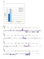 TBP Monoclonal Antibody