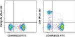 CD4 Monoclonal Antibody (GK1.5), eFluor™ 660, eBioscience™