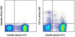 CD11c Monoclonal Antibody (N418), eFluor™ 660, eBioscience™
