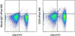 CD25 Antibody in Flow Cytometry (Flow)
