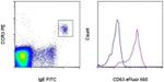 CD63 Monoclonal Antibody (H5C6), eFluor™ 660, eBioscience™
