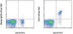 CD72 Monoclonal Antibody (J4-117), eFluor™ 660, eBioscience™