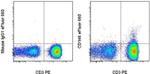 CD146 Monoclonal Antibody (P1H12), eFluor™ 660, eBioscience™