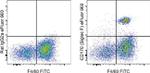 CD170 (Siglec F) Monoclonal Antibody (1RNM44N), eFluor™ 660, eBioscience™