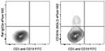 CD301b (MGL2) Monoclonal Antibody (11A10-B7), eFluor™ 660, eBioscience™