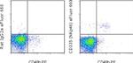 CD335 (NKp46) Monoclonal Antibody (29A1.4), eFluor™ 660, eBioscience™