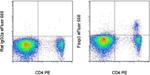 FOXP3 Monoclonal Antibody (FJK-16s), eFluor™ 660, eBioscience™
