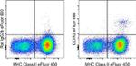 Dendritic Cell Marker DCIR2 Antibody in Flow Cytometry (Flow)