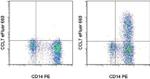 CCL7 (MCP-3) Monoclonal Antibody (OLGMASCE), eFluor™ 660, eBioscience™
