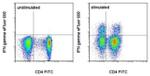 IFN gamma Monoclonal Antibody (4S.B3), eFluor™ 660, eBioscience™