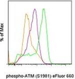 Phospho-ATM (Ser1981) Monoclonal Antibody (10H11.E12), eFluor™ 660, eBioscience™
