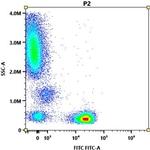 CD3 Antibody in Flow Cytometry (Flow)