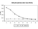 Phosphotyrosine Antibody in ELISA (ELISA)