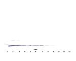 MCP-1 Monoclonal Antibody, PeproTech®