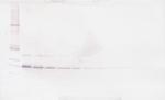 PSPN Antibody in Western Blot (WB)
