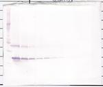 KGF Polyclonal Antibody, Biotin, PeproTech®