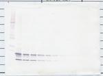 CCL4 Polyclonal Antibody, Biotin, PeproTech®